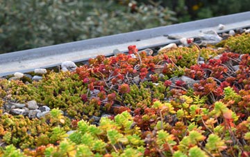 the cost of Alstone green roof installation